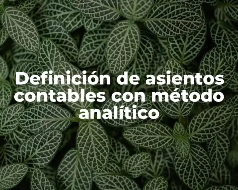 Definición de asientos contables con método analítico