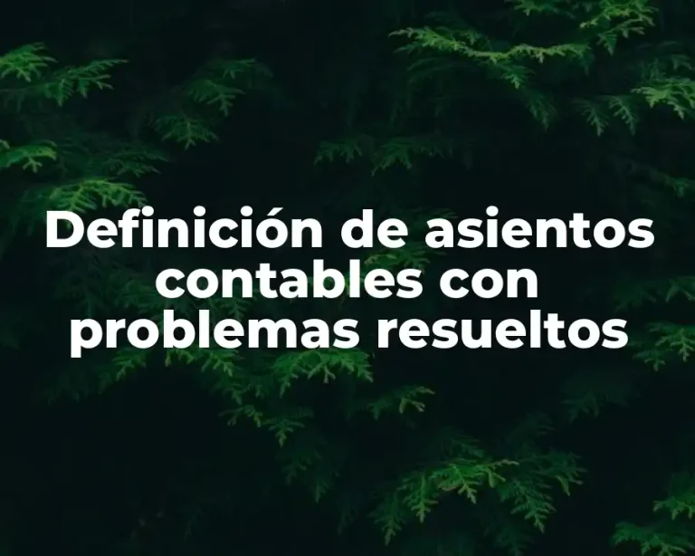 Definición de asientos contables con problemas resueltos