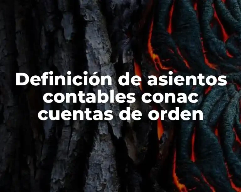 Definición de asientos contables conac cuentas de orden