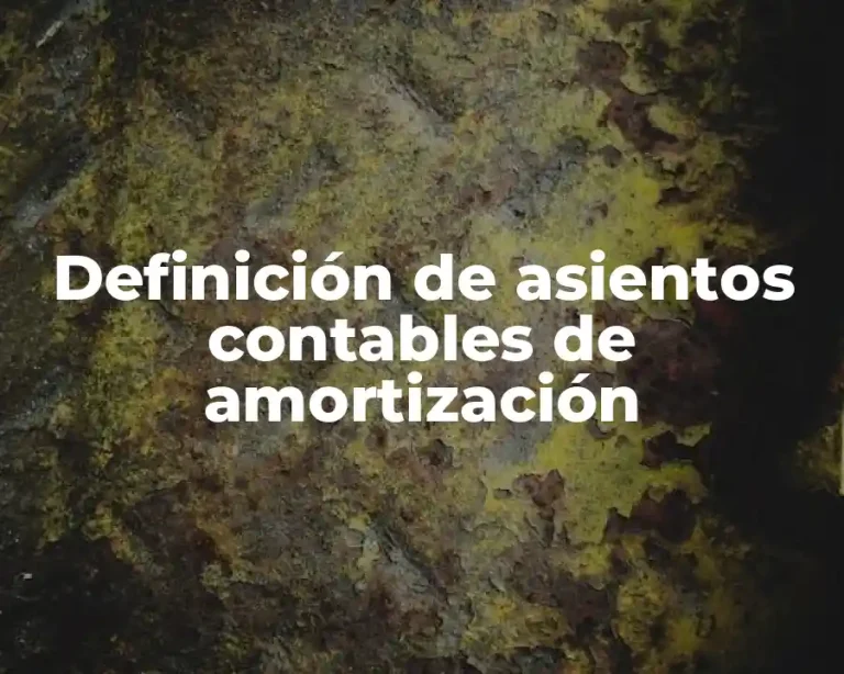 Definición de asientos contables de amortización