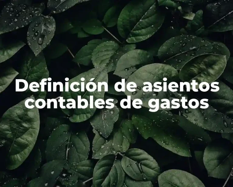 Definición de asientos contables de gastos