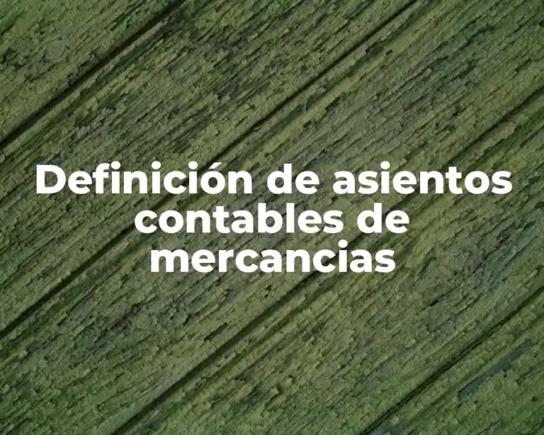 Definición de asientos contables de mercancias