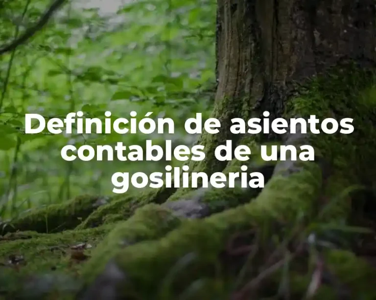 Definición de asientos contables de una gosilineria