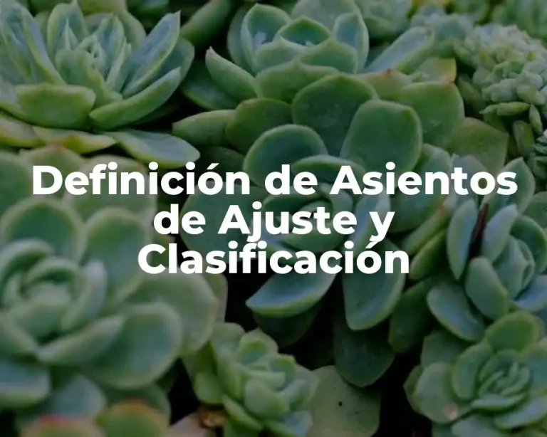 Definición de Asientos de Ajuste y Clasificación