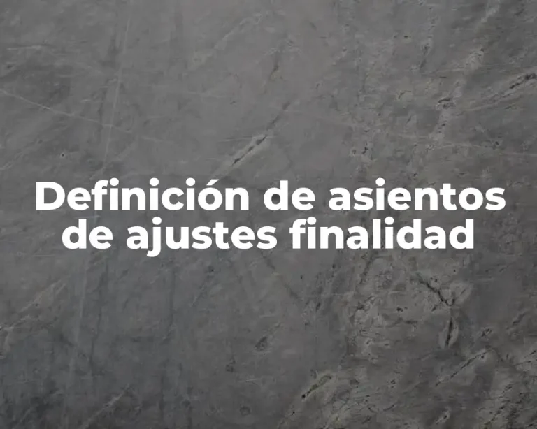Definición de asientos de ajustes finalidad