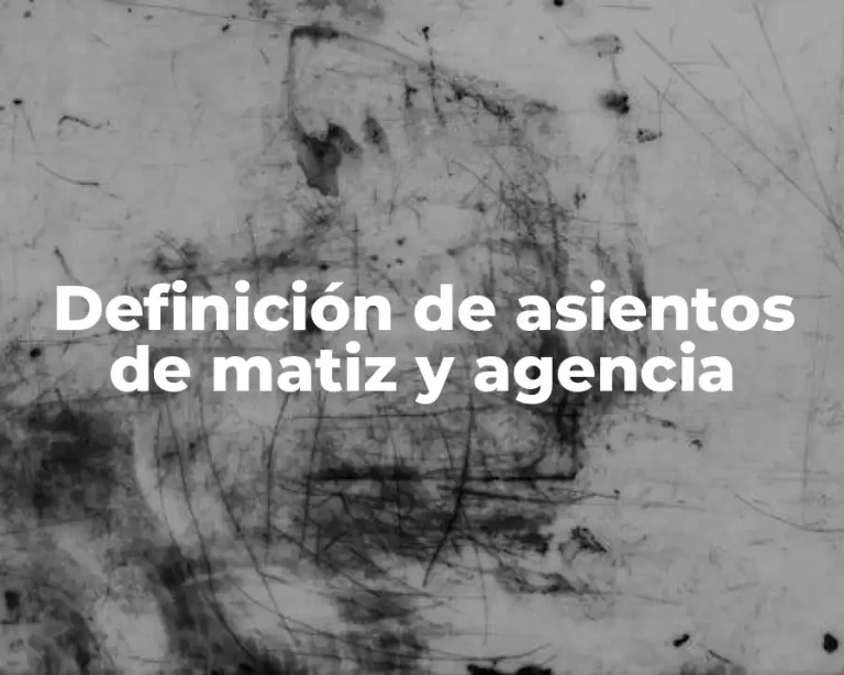 Definición de asientos de matiz y agencia