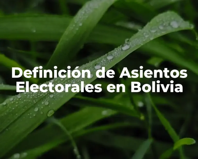 Definición de Asientos Electorales en Bolivia