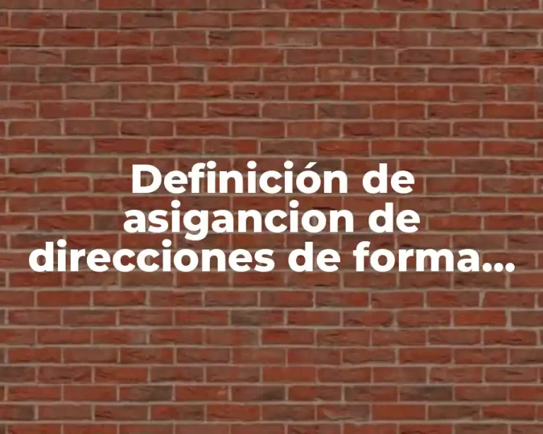 Definición de asigancion de direcciones de forma manual