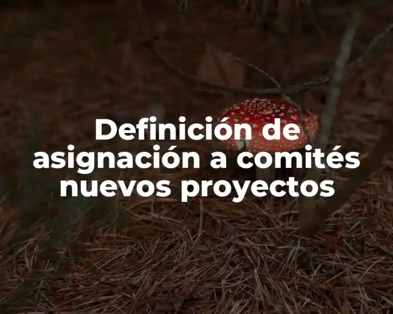 Definición de asignación a comités nuevos proyectos