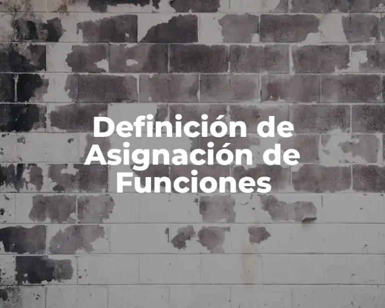Definición de Asignación de Funciones