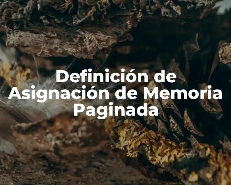Definición de Asignación de Memoria Paginada