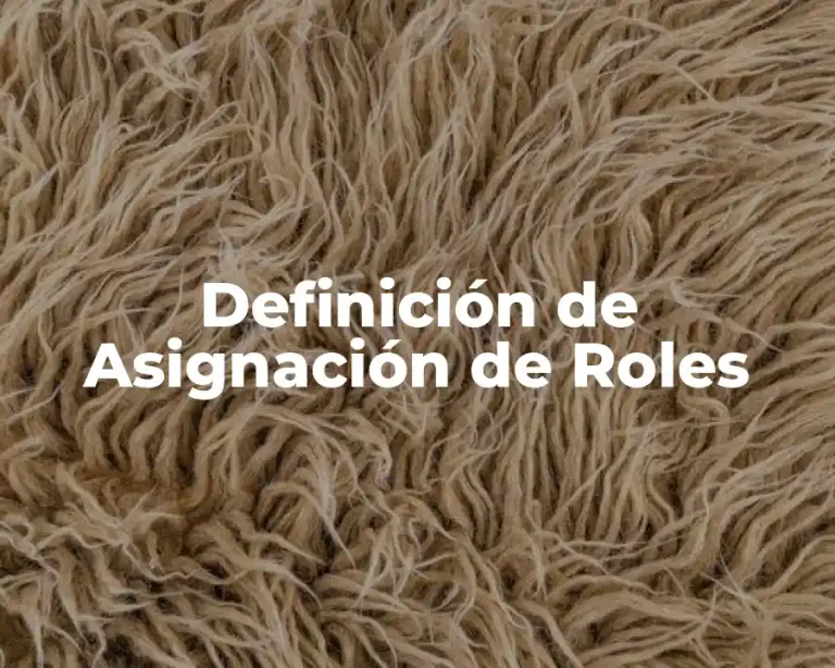 Definición de Asignación de Roles