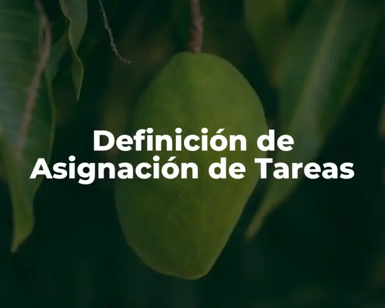 Definición de Asignación de Tareas