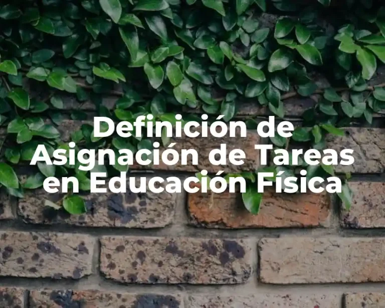 Definición de Asignación de Tareas en Educación Física
