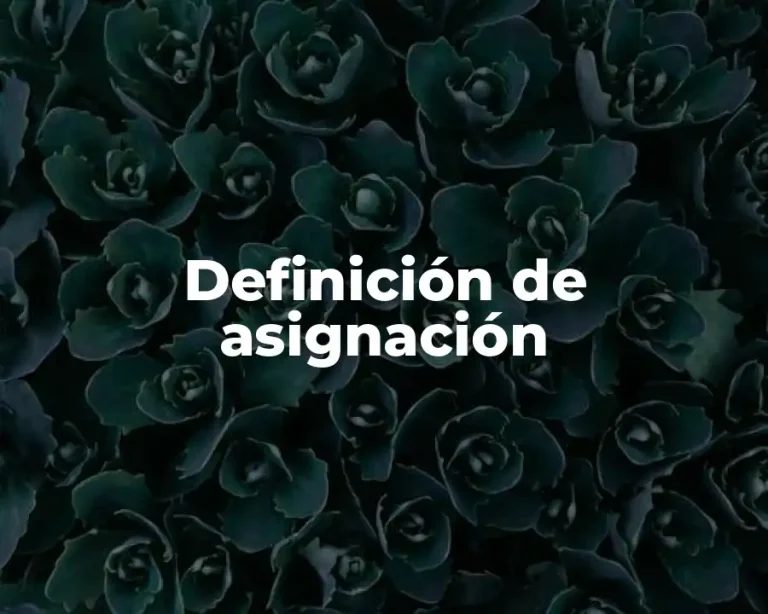 Definición de asignación
