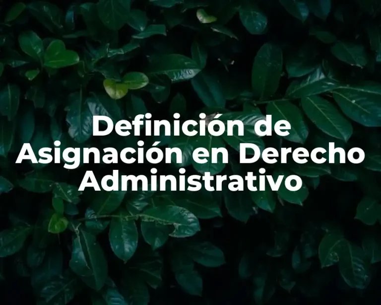 Definición de Asignación en Derecho Administrativo