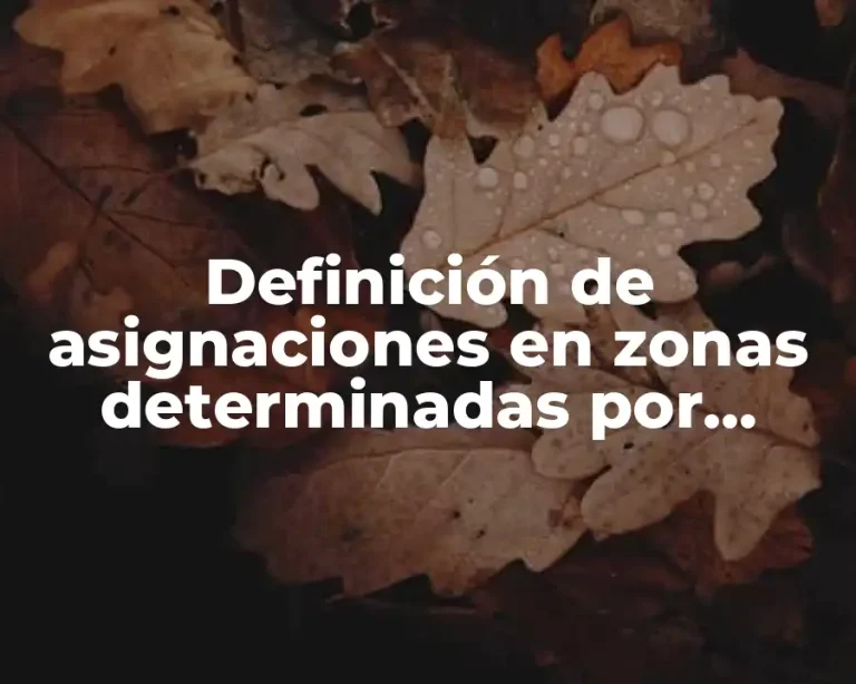 Definición de asignaciones en zonas determinadas por gobierno federal