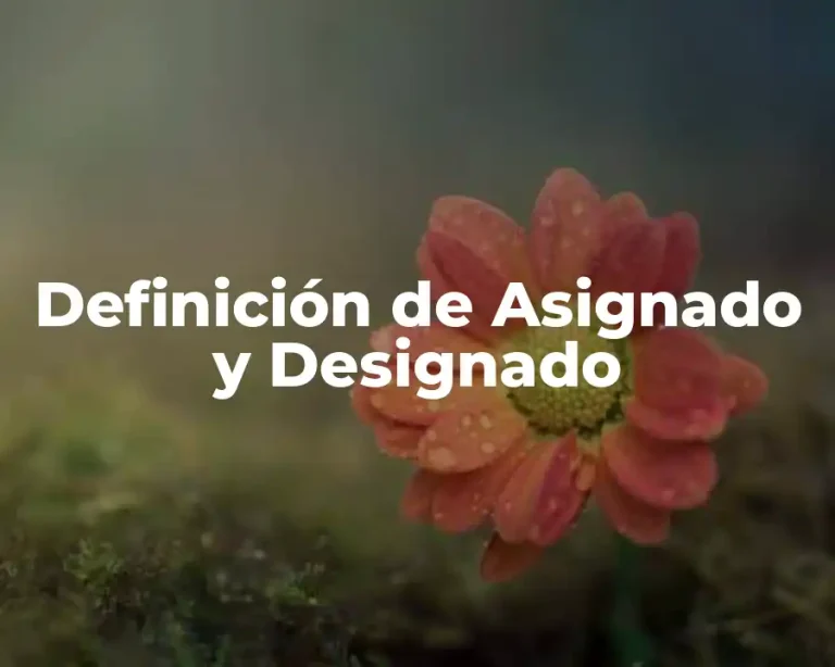 Definición de Asignado y Designado