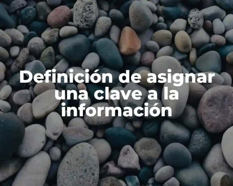 Definición de asignar una clave a la información