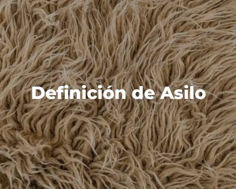 Definición de Asilo