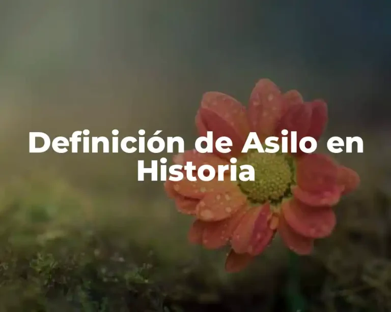 Definición de Asilo en Historia