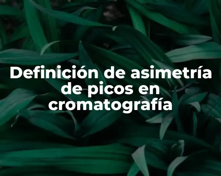 Definición de asimetría de picos en cromatografía