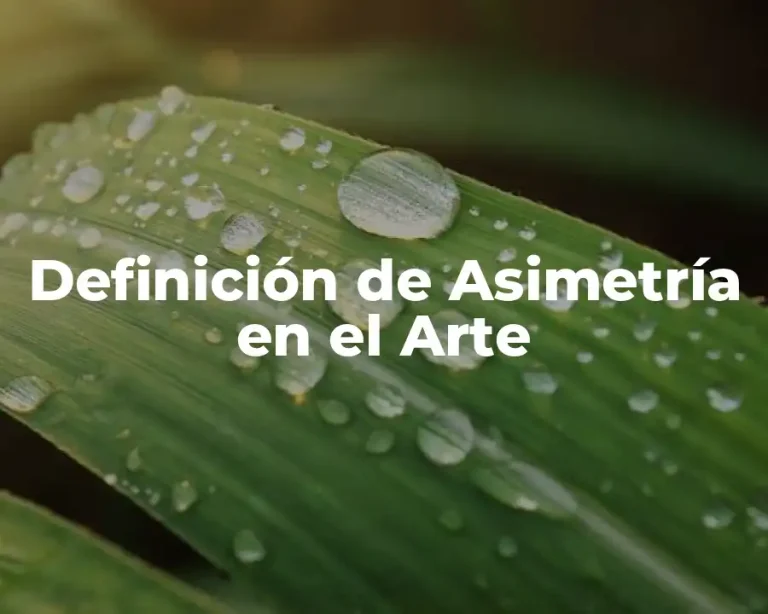 Definición de Asimetría en el Arte