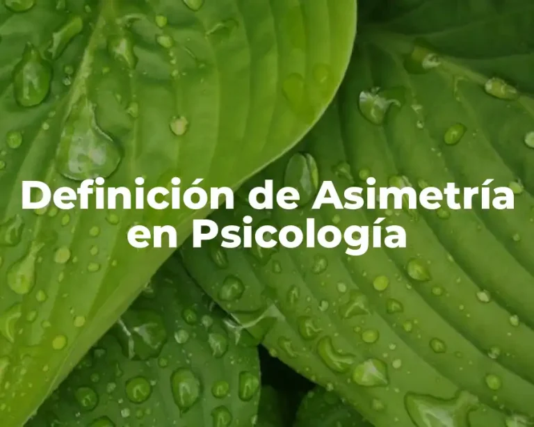 Definición de Asimetría en Psicología