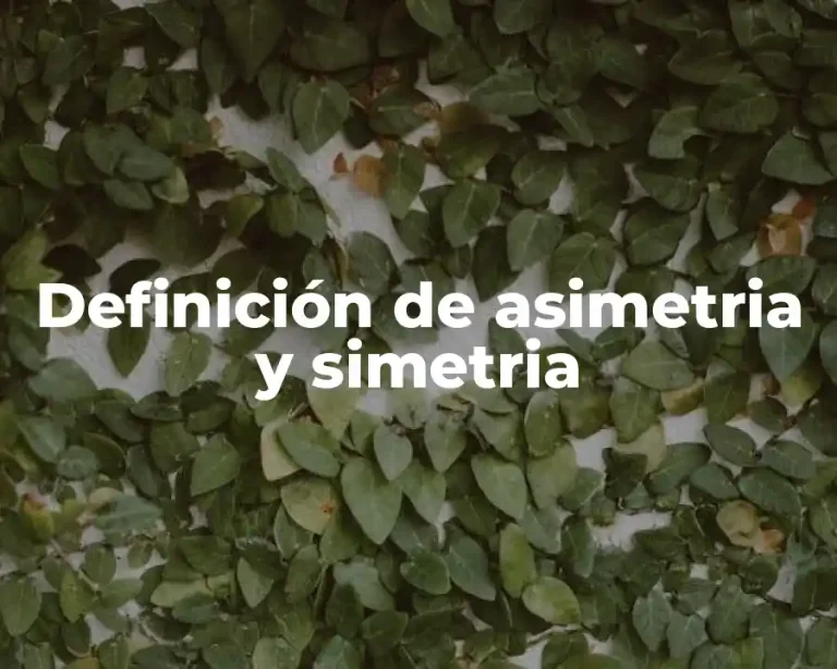 Definición de asimetria y simetria
