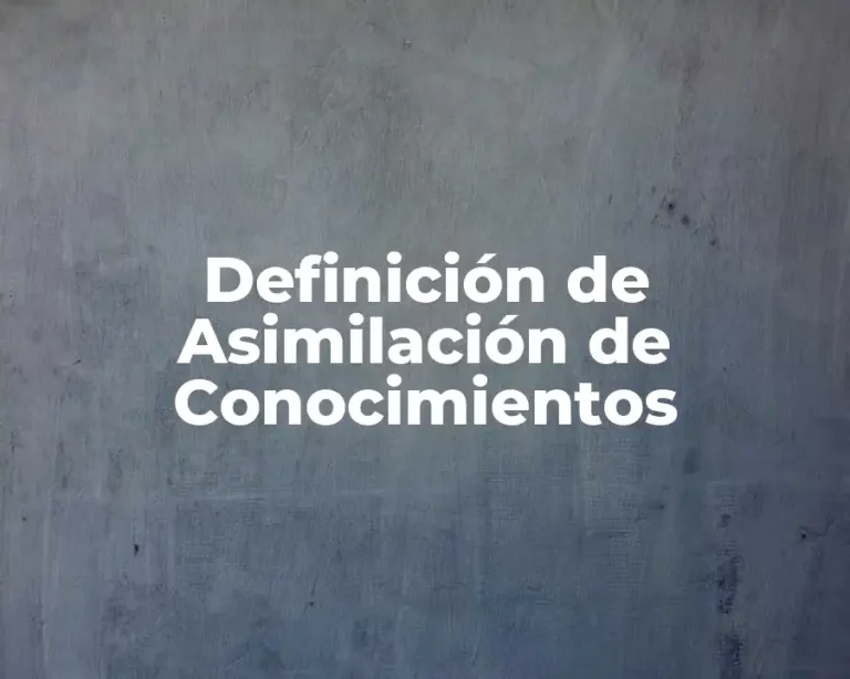 Definición de Asimilación de Conocimientos