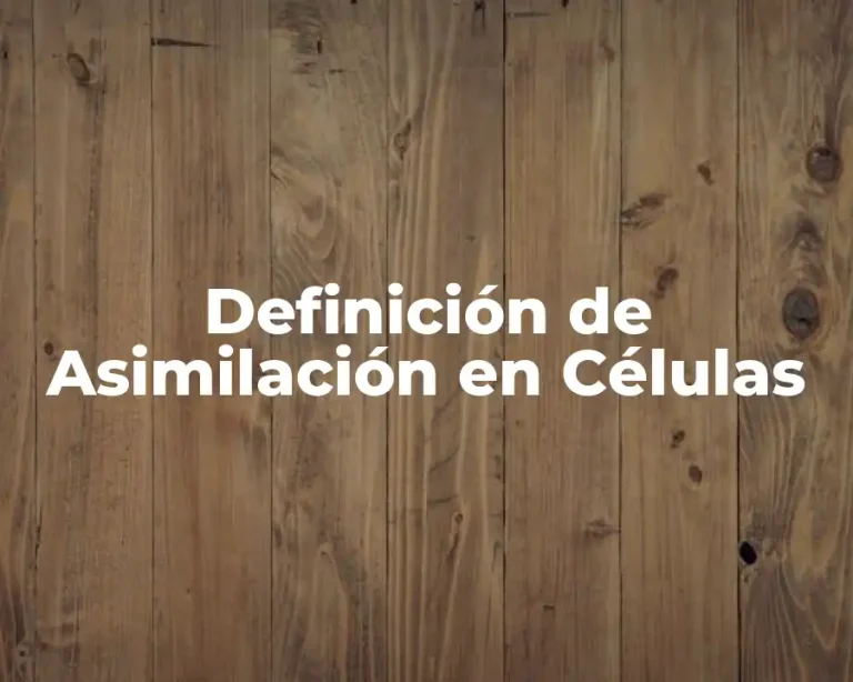 Definición de Asimilación en Células