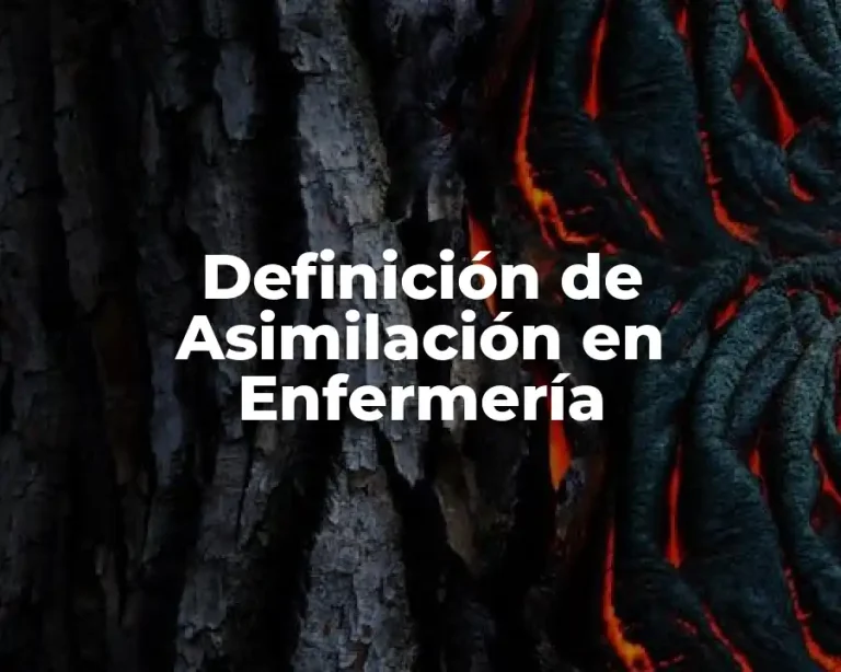 Definición de Asimilación en Enfermería