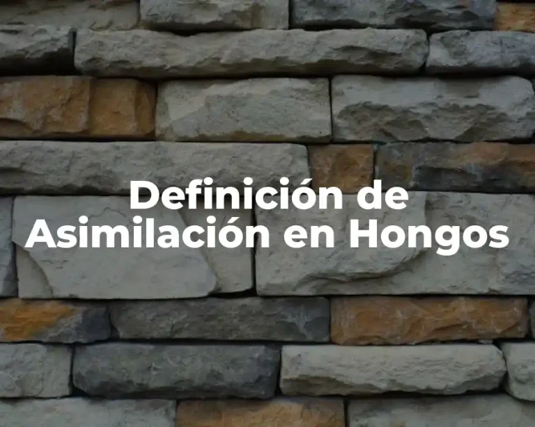 Definición de Asimilación en Hongos