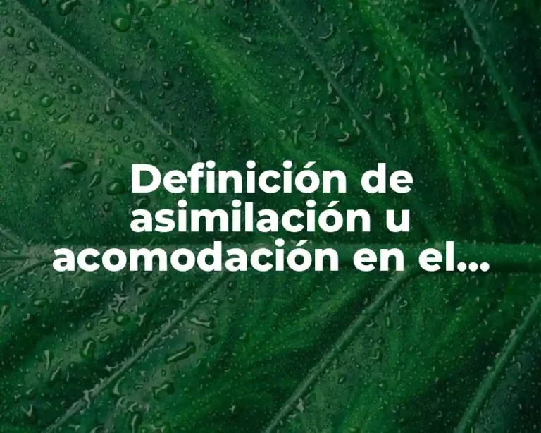 Definición de asimilación u acomodación en el proceso de alfabetización