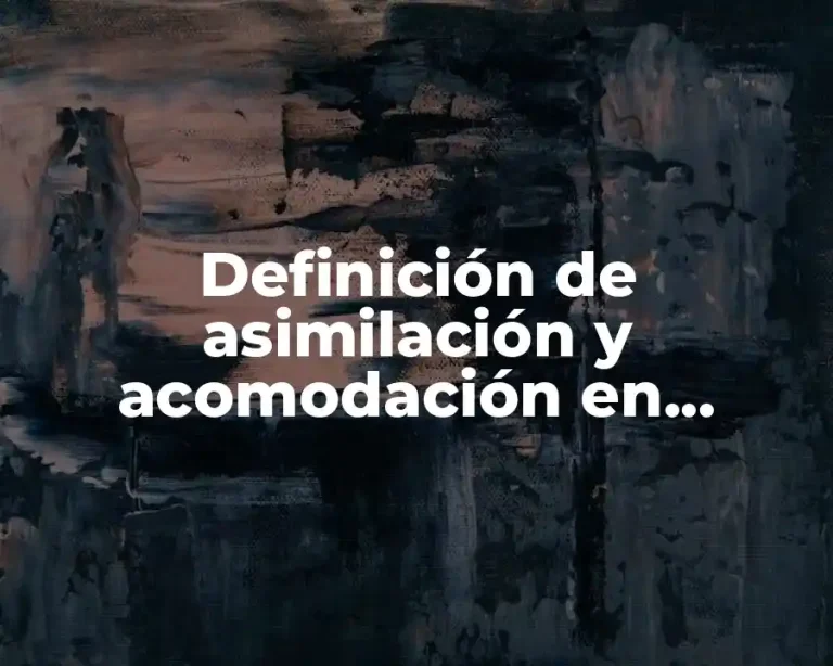 Definición de asimilación y acomodación en preescolar
