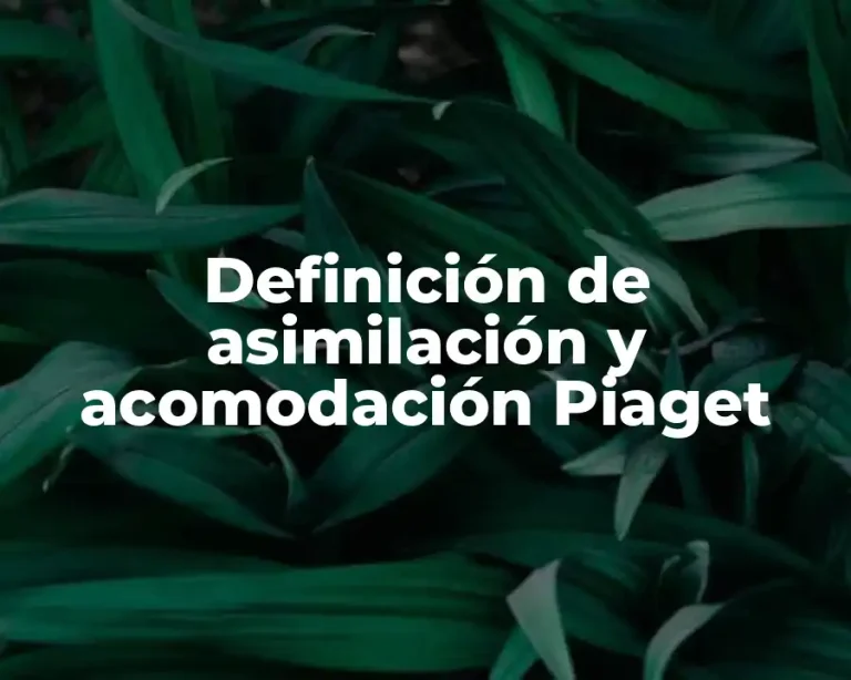 Definición de asimilación y acomodación Piaget