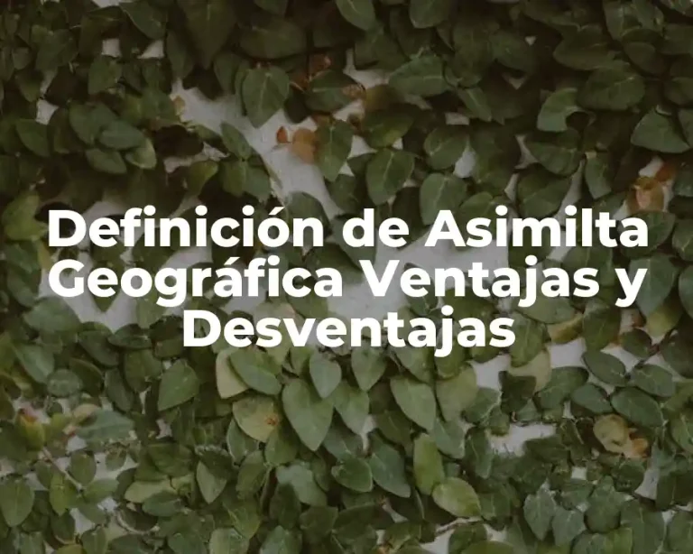 Definición de Asimilta Geográfica Ventajas y Desventajas