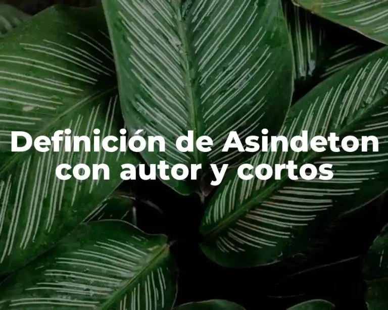 Definición de Asindeton con autor y cortos