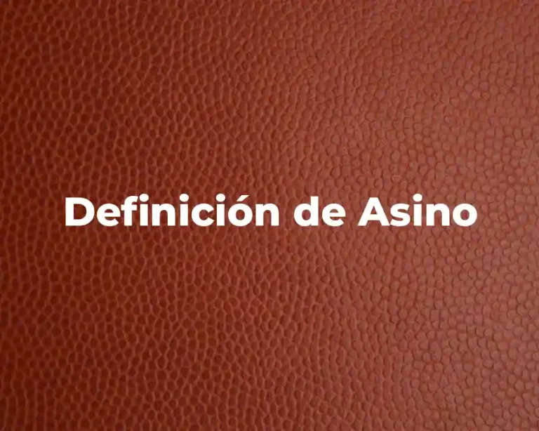 Definición de Asino