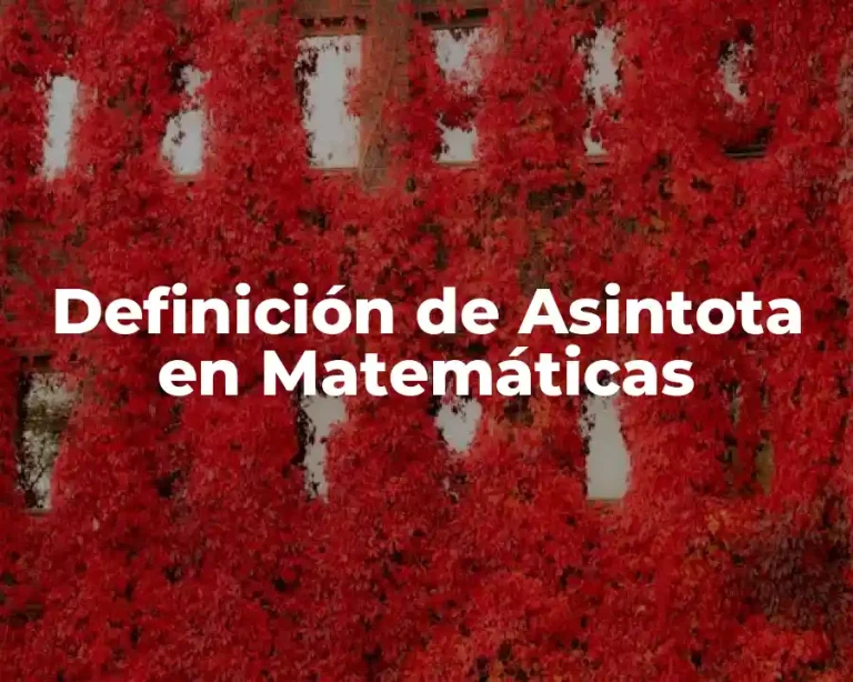 Definición de Asintota en Matemáticas