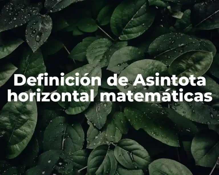 Definición de Asintota horizontal matemáticas