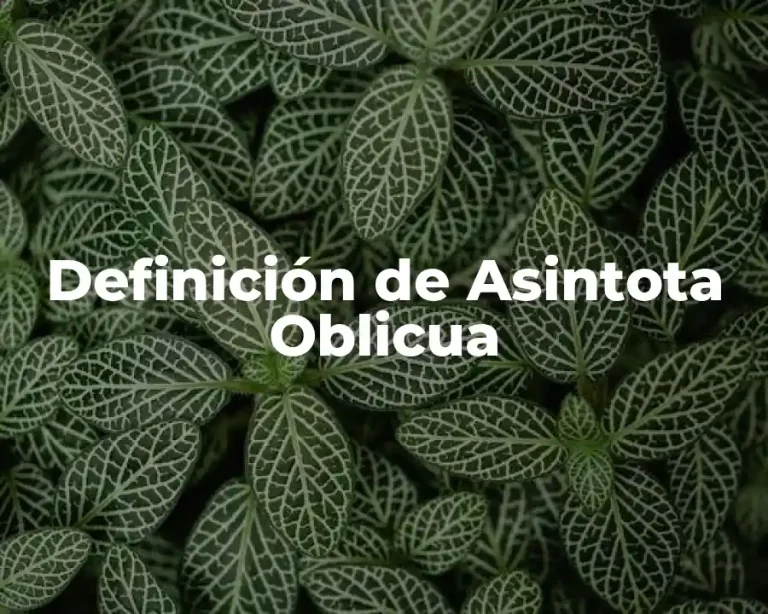 Definición de Asintota Oblicua
