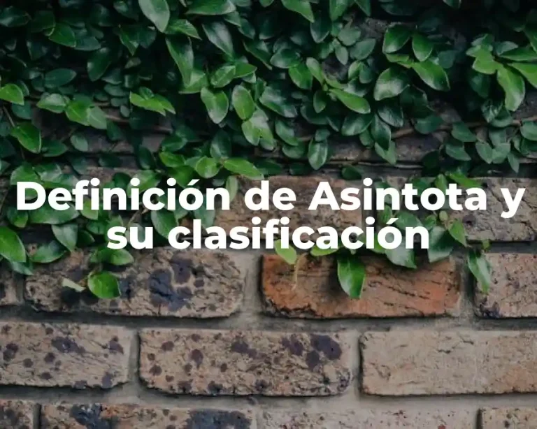 Definición de Asintota y su clasificación