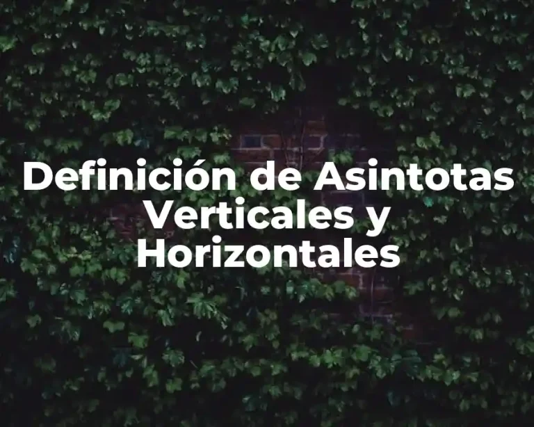 Definición de Asintotas Verticales y Horizontales