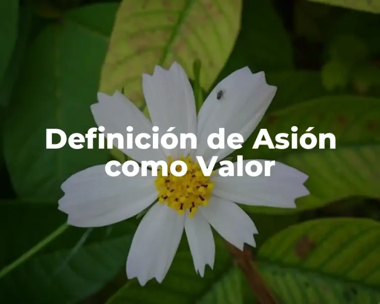 Definición de Asión como Valor