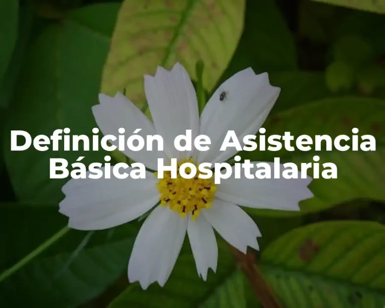 Definición de Asistencia Básica Hospitalaria