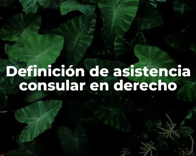 Definición de asistencia consular en derecho