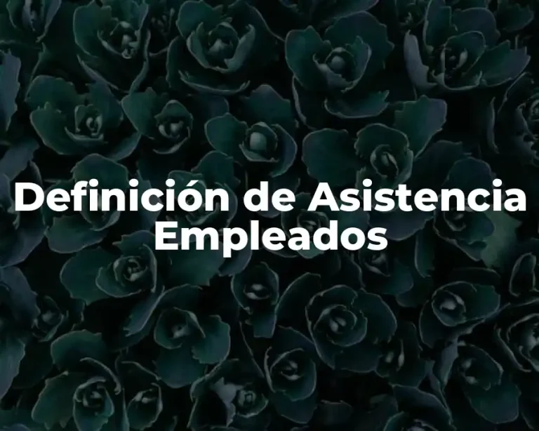 Definición de Asistencia Empleados