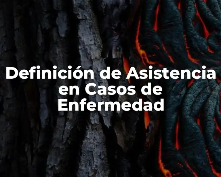 Definición de Asistencia en Casos de Enfermedad