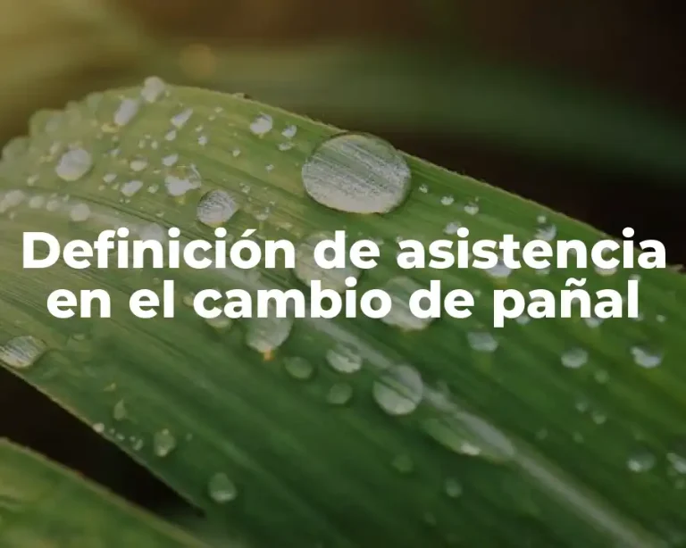 Definición de asistencia en el cambio de pañal